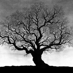 Demo Sample - "Soldier On" by The Temper Trap