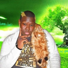 Amusement Au Studio Mufasa