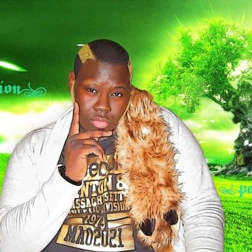 Amusement Au Studio Mufasa