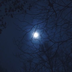 Mighty Distant Star - Live Jan 16 2012