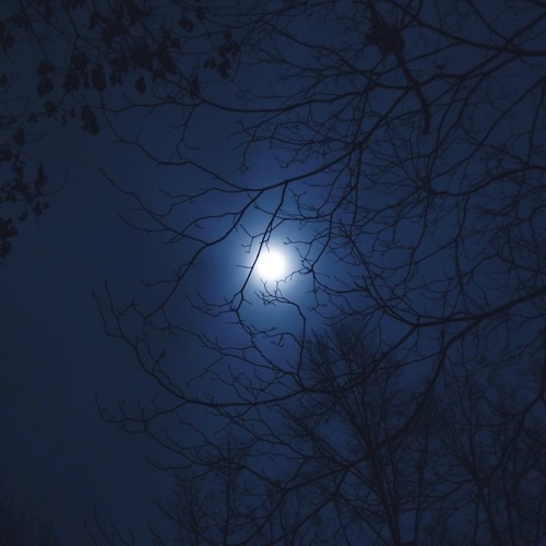 Mighty Distant Star - Live Jan 16 2012