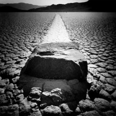 SEES - In and Between