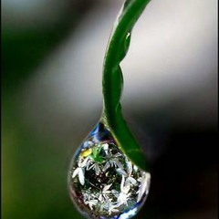 Felix Hadad - Inner Peace Feat. Eli Greenberg (2012)