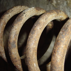 Rabbit Girls - Charmed (with Vor Onus)