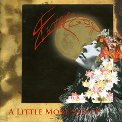ELECTRIK GOSSIP | A Little More Sad