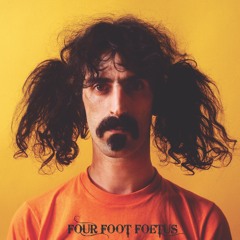 Stick it out (Frank Zappa 1979)