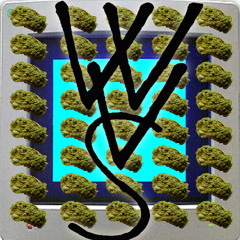 NSDOS // W33D33MOM 3DIT (ONDDAS)