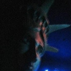 Dj Sickness - Too Cold To Handle