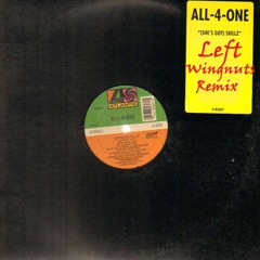 All 4 One-She's Got Skillz (Left Wingnuts Remix)