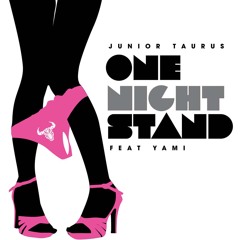 1 Night Stand