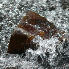 Dance In The Stillness