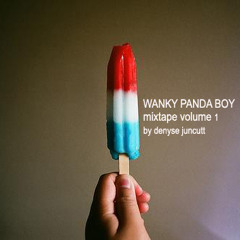 Wanky Panda Boy - Mixtape volume 1 - Mixed by Denyse Juncutt