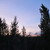 Artwork for Evening birds at Lake Issyk Kul