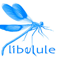 Libelule-Like a wish