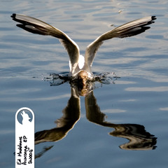 Ed Maddams - Funny Black Beard [Shewolf Music]