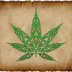 The Re-Greeneration(clip/unmastered)