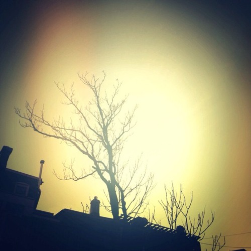 Nearly There (Disquiet0004-mfischer Benjamin Dauer's Sun In Your Eyes Remix)