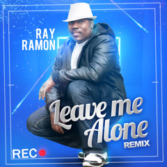 Leave me Alone Remix