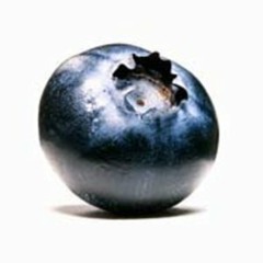 Bluesberry
