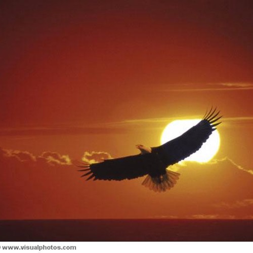 Born To Be - V.Limjap-Vos, J.Limjap, AE Albert, K. Cheng  Kytch&sync