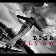 BigRic - Fly Away