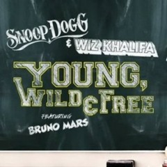 Snoop Dogg - Young Wild & Free (FunkyBootleg Comba Remix Short Version)