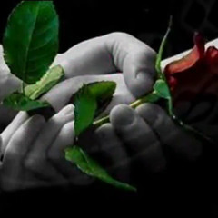 Mohsen chavoshi <>  bastegi dare be to