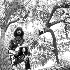 Angus Stone - Broken Brights (Unknown Number VGM)
