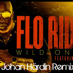 Flo Rida ft. Sia - Wild Ones (Johan Hardin Bootleg)