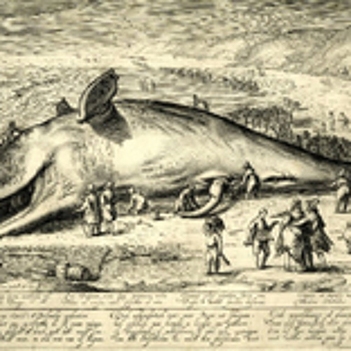 Doomed - The Inflatables