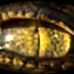 ΤΡΑΓΟΥΔΟΣΑΥΡΟΣ~CANTASAURUS~唱歌的蜥蜴 - Τί ΤΑ ΘΕΛΕΙΣ ΤΑ ΛΕΦΤΑ (Πορδή στη Χαρά)