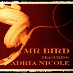 Mr Bird ft. Adria Nicole - Wanna be good