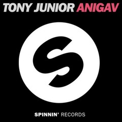 Tony Junior - Anigav (Original Mix)