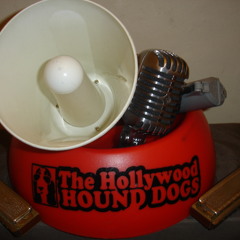 THE HOLLYWOOD HOUND DOGS - She Gotta Problem