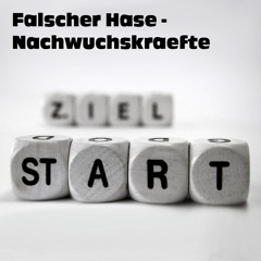 Falscher Hase - Nachwuchskräfte (Januar 2012) | Exklusiv-Mix für STYLECRAVE Deutschland