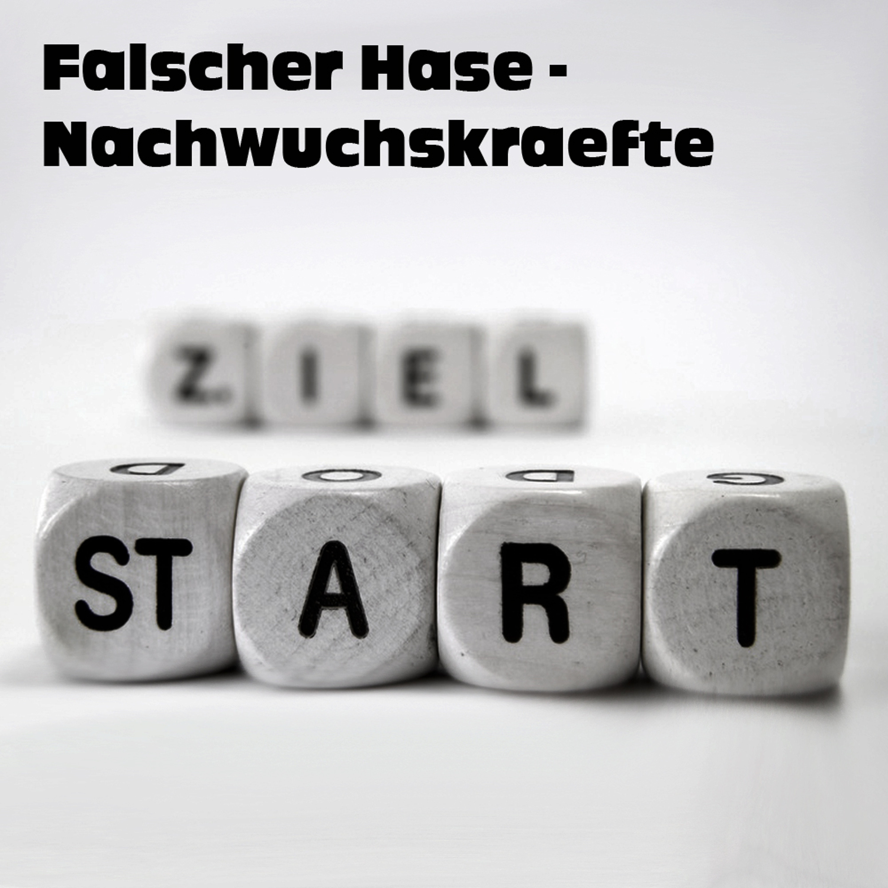 Falscher Hase – Mixe, Podcasts & Livemitschnitte