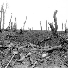 The Somme