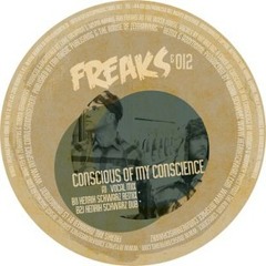 Freaks & 012 - Conscious Of My Conscience (Henrik Schwarz Remix)