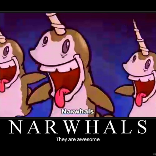 Narwhals