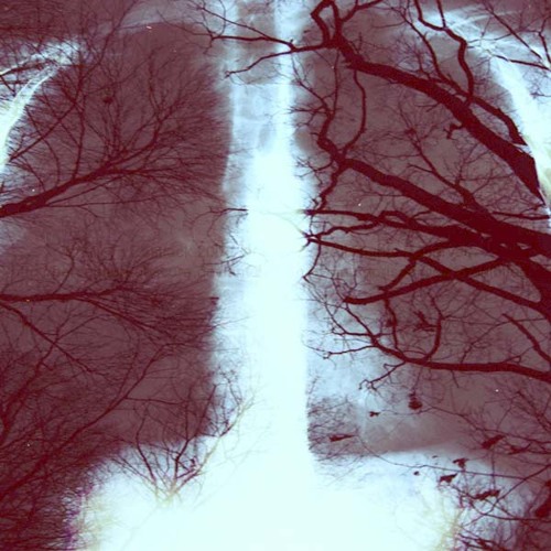 DeeElfe - Breathe U in?