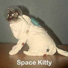 A mix inspired by a Robotik-Space-Kitty sent to Earth to save us from ourselves.