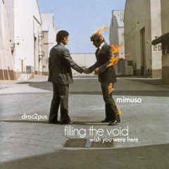 Filling the Void (Wish You Were Here)