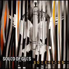 Sound Of Guns - Sometimes