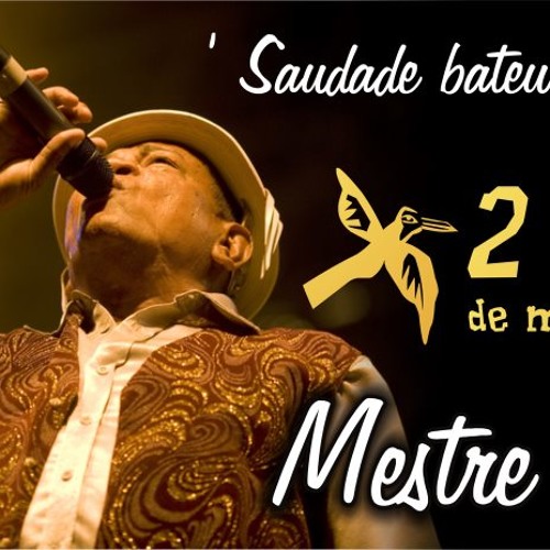 Forró Brasileiro Especial Mestre Zinho