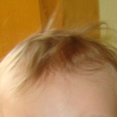 Erik Sumo - I Always Wanted To Ask This