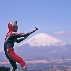 Sympathy for Mr Miyamoto