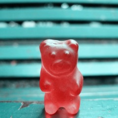 Gummy Bear Hunt