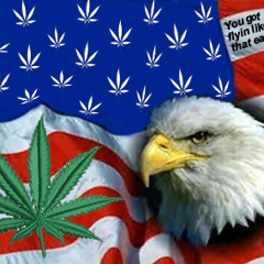 High Like An Eagle