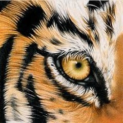 Survivor eye of the tiger biodun cover