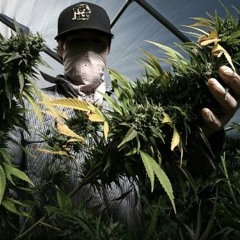 GonFire - drugs(instrumental)